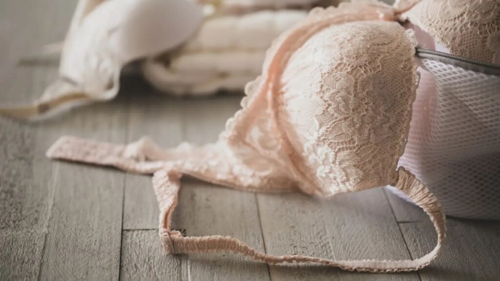 洗濯ネットに入れる途中の下着の画像