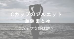 Cカップのシルエット